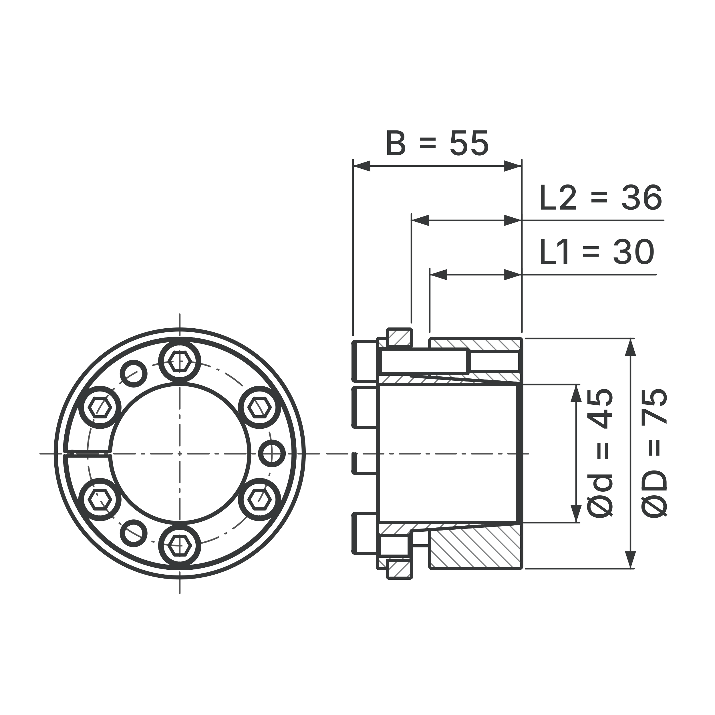 Maßskizze Spannsatz STW73-45x75: Wellen-Ø d, Außen-Ø D, L1, L2, B in mm, schematisch