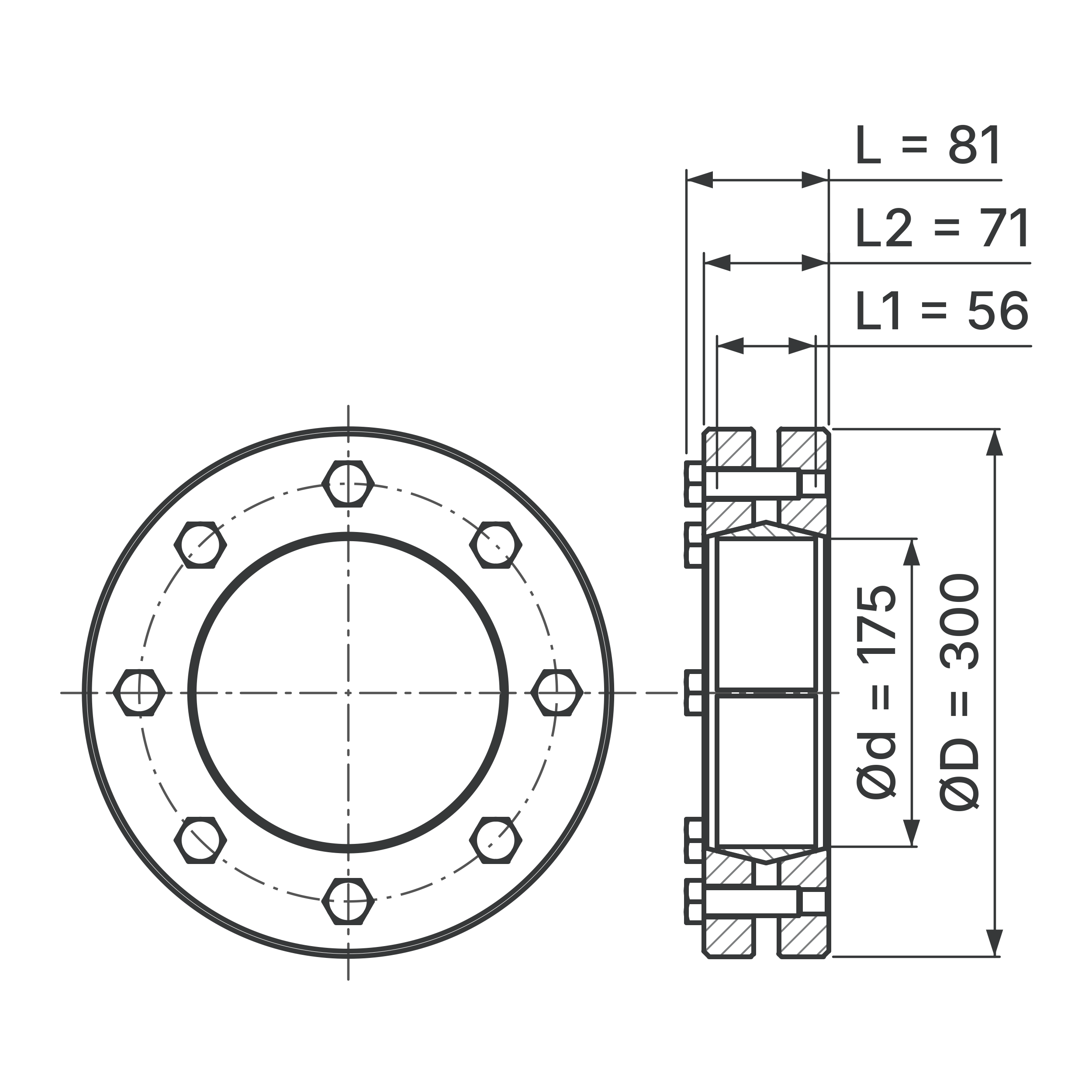 Maßskizze Schrumpfscheibe STW96-175x300: Bohrungs-Ø d, Außen-Ø D, L, L1, L2 in mm, schematisch
