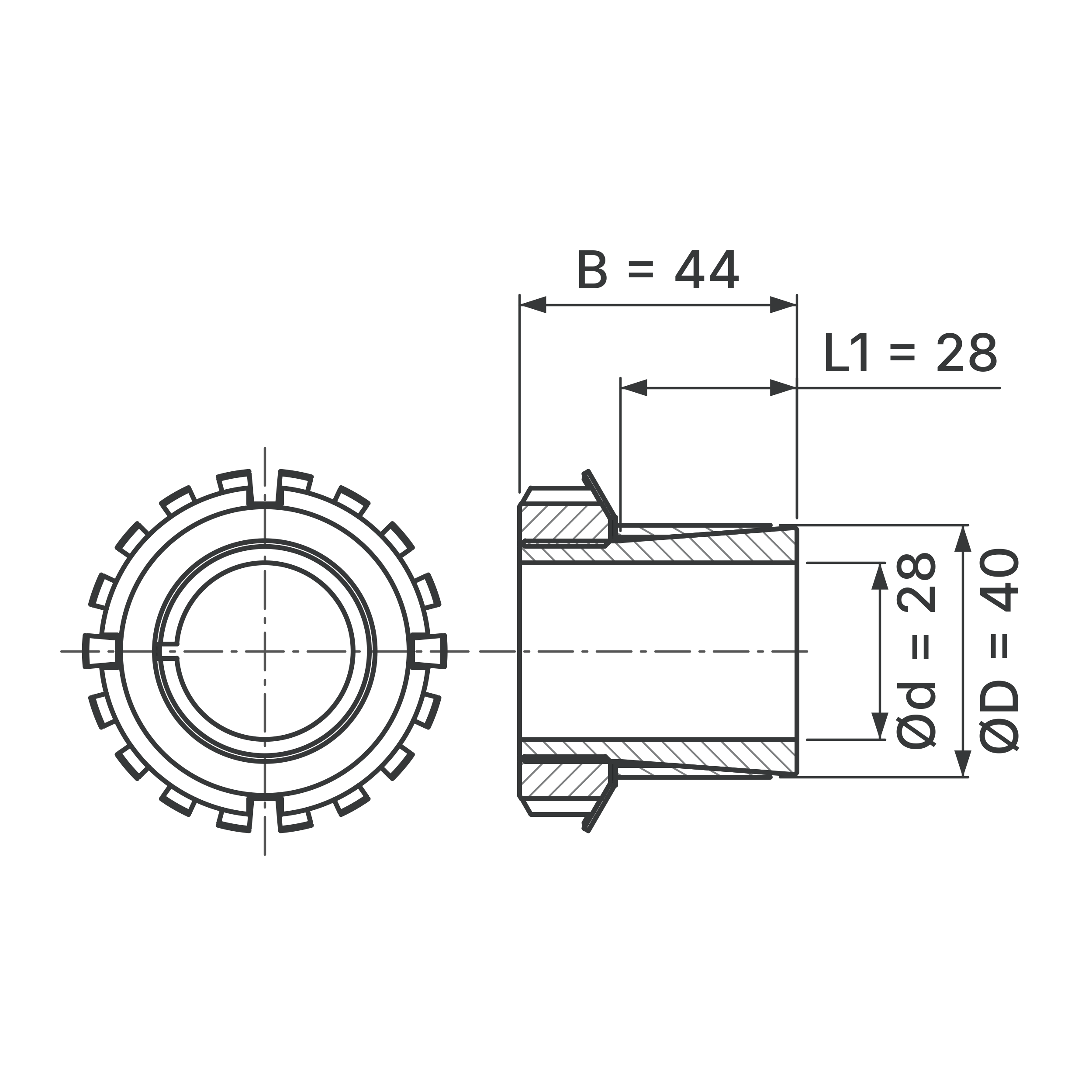 Maßskizze Spannsatz STW76-28x40: Wellen-Ø d, Außen-Ø D, L1, B in mm, schematisch